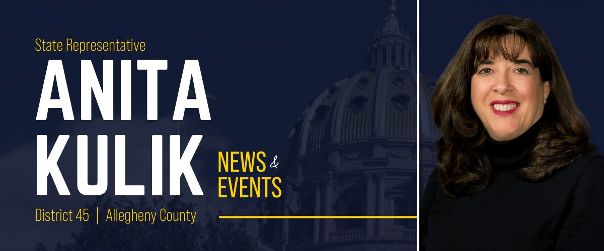 PA Representative Anita Kulik banner image