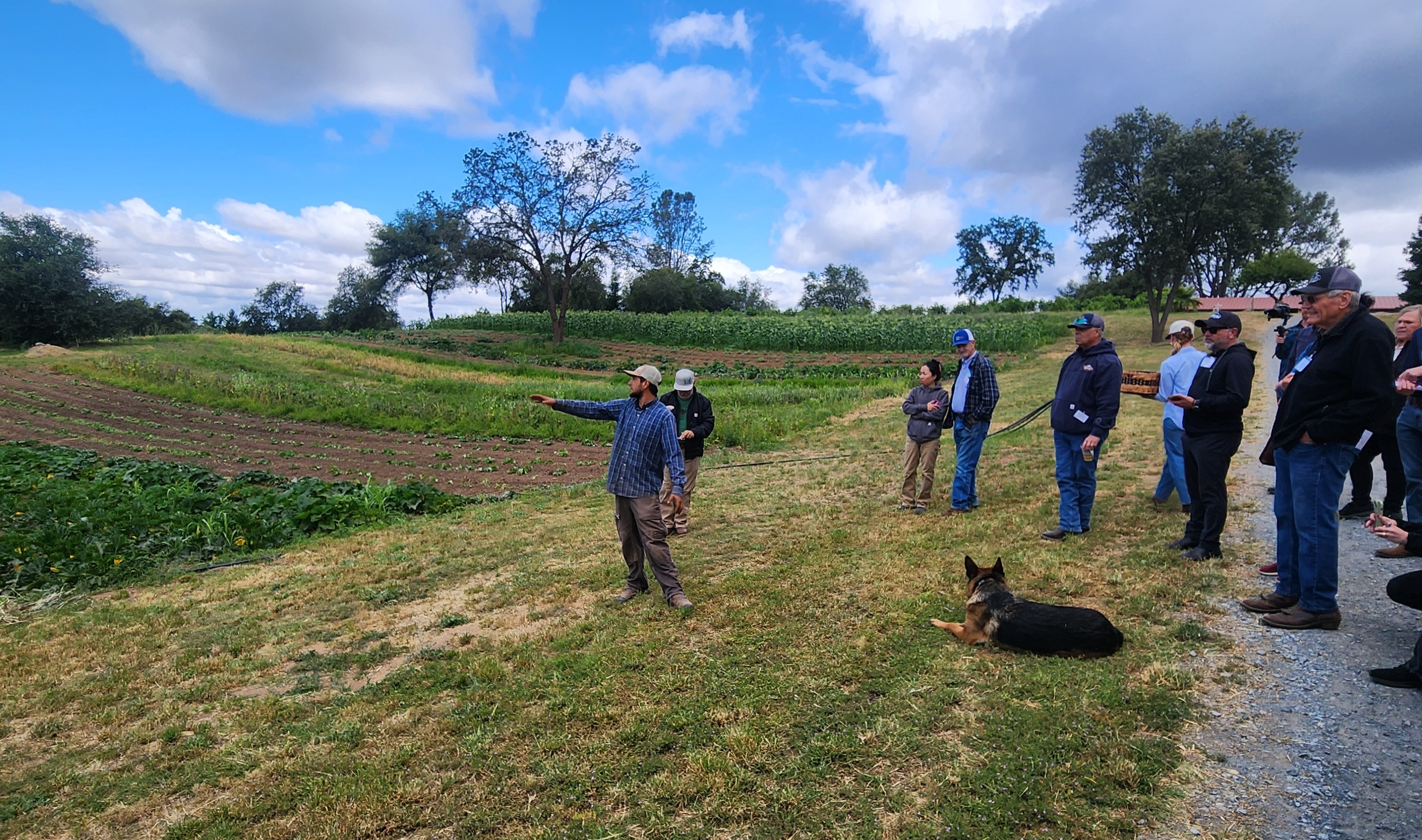 Group of people learning about crops growing in a field under a blue sky with white puffy clouds