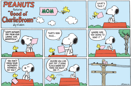 three frames of a Peanuts Comic . Frame one features Charlie Brown offering a towel to a dripping wet and sad Snoopy and saying "You sure got yourself wet sitting out there in the rain, Snoopy. Frame two shows Charlie brown vigorously drying Snoopy with the towel as he says, "But after I towel you off, you'll be nice and warm and fuzzy..". The third and final frame shows Snoopy as a frizzy puffball with a worried look on his face, thinking "I may have to go into hiding."