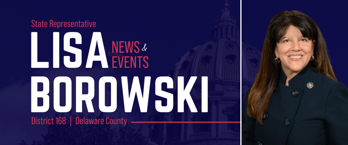 PA Representative Lisa Borowski banner image
