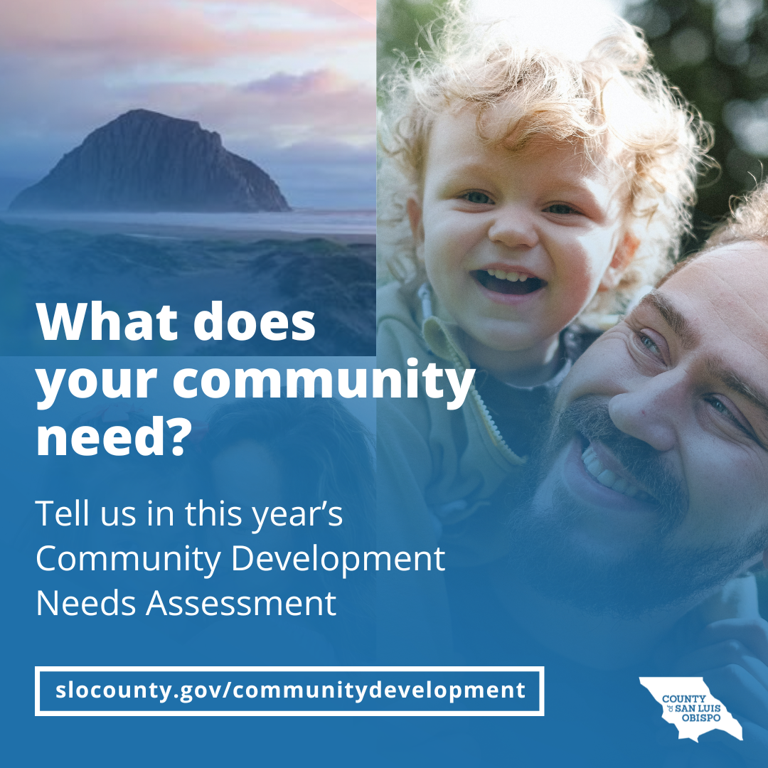 Community Needs Assessment survey graphic