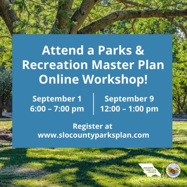 Parks Master Plan workshop graphic
